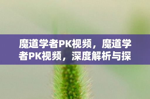 魔道学者PK视频，魔道学者PK视频，深度解析与探讨