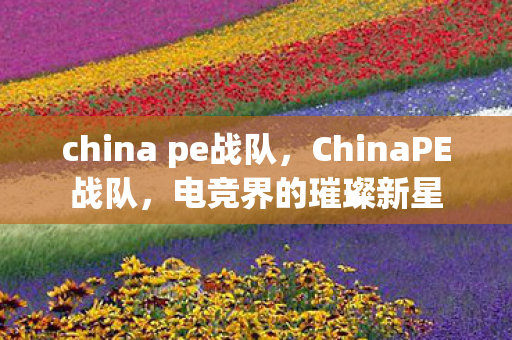 china pe战队，ChinaPE战队，电竞界的璀璨新星