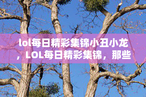lol每日精彩集锦小丑小龙，LOL每日精彩集锦，那些令人热血沸腾的游戏瞬间
