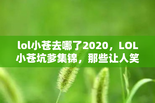 lol小苍去哪了2020，LOL小苍坑爹集锦，那些让人笑出泪水的瞬间