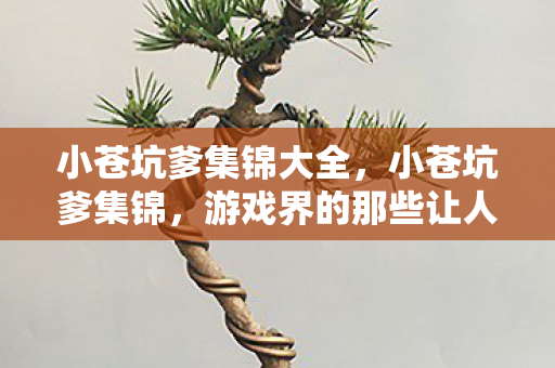 小苍坑爹集锦大全，小苍坑爹集锦，游戏界的那些让人哭笑不得的失误瞬间