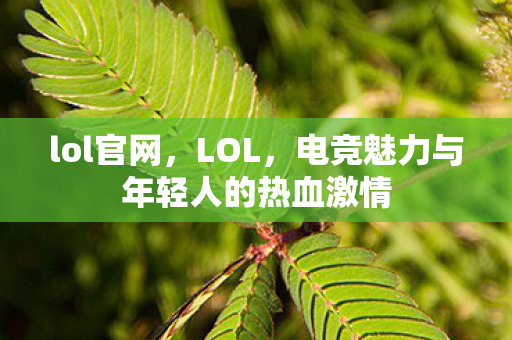 lol官网，LOL，电竞魅力与年轻人的热血激情