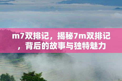 m7双排记，揭秘7m双排记，背后的故事与独特魅力