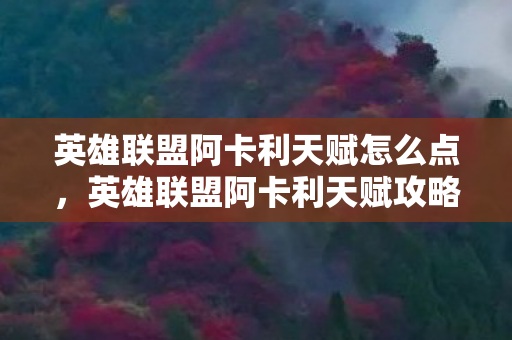 英雄联盟阿卡利天赋怎么点，英雄联盟阿卡利天赋攻略，探索暗影之力的秘密