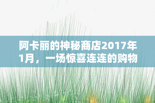 阿卡丽的神秘商店2017年1月，一场惊喜连连的购物盛宴
