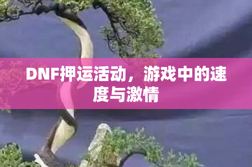 DNF押运活动，游戏中的速度与激情