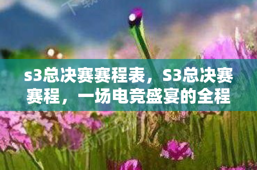 s3总决赛赛程表，S3总决赛赛程，一场电竞盛宴的全程回顾