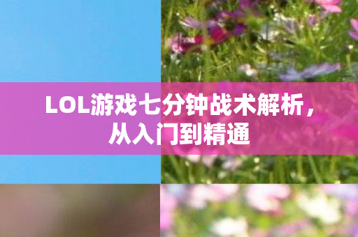 LOL游戏七分钟战术解析，从入门到精通