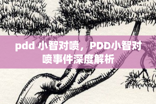 pdd 小智对喷，PDD小智对喷事件深度解析