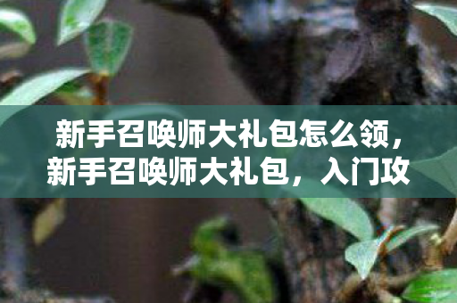 新手召唤师大礼包怎么领，新手召唤师大礼包，入门攻略与实用指南