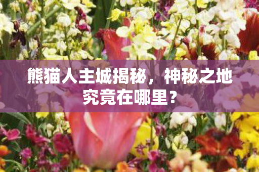 熊猫人主城揭秘，神秘之地究竟在哪里？