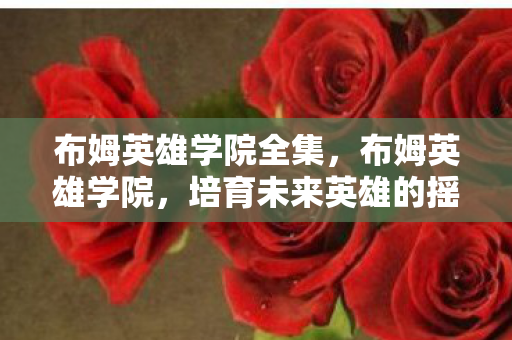 布姆英雄学院全集，布姆英雄学院，培育未来英雄的摇篮