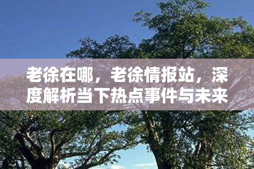 老徐在哪，老徐情报站，深度解析当下热点事件与未来趋势展望