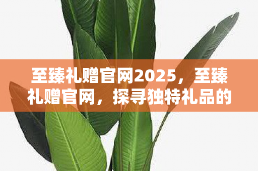 至臻礼赠官网2025，至臻礼赠官网，探寻独特礼品的极致之旅
