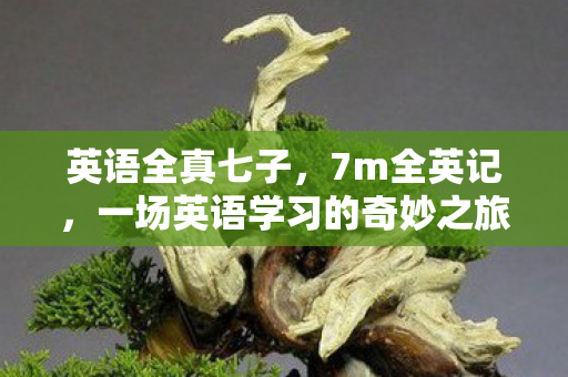 英语全真七子，7m全英记，一场英语学习的奇妙之旅