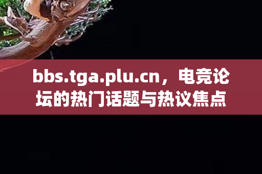 bbs.tga.plu.cn，电竞论坛的热门话题与热议焦点