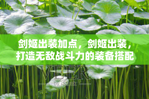 剑姬出装加点，剑姬出装，打造无敌战斗力的装备搭配指南
