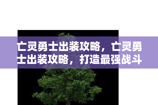 亡灵勇士出装攻略，亡灵勇士出装攻略，打造最强战斗装备组合