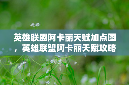 英雄联盟阿卡丽天赋加点图，英雄联盟阿卡丽天赋攻略，掌握天赋，成为暗影刺客！