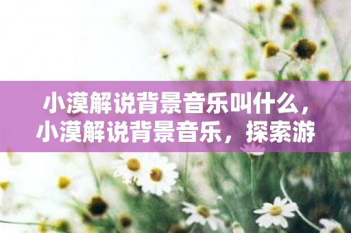 小漠解说背景音乐叫什么，小漠解说背景音乐，探索游戏世界的旋律艺术