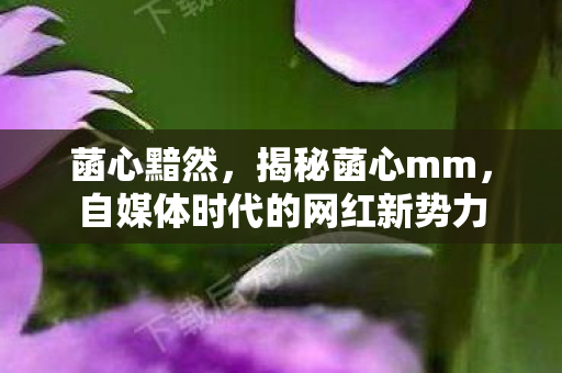 菡心黯然，揭秘菡心mm，自媒体时代的网红新势力