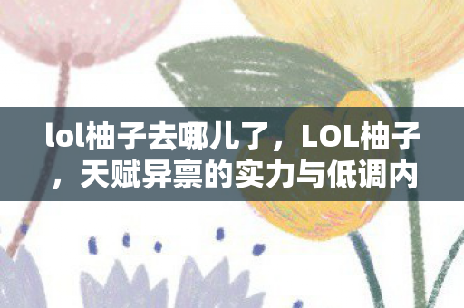 lol柚子去哪儿了，LOL柚子，天赋异禀的实力与低调内敛的个性魅力