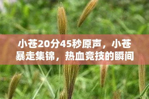 小苍20分45秒原声，小苍暴走集锦，热血竞技的瞬间回顾