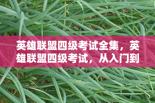 英雄联盟四级考试全集，英雄联盟四级考试，从入门到精通的全方位解析