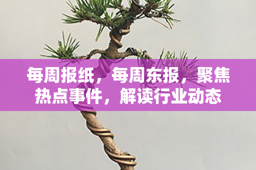 每周报纸，每周东报，聚焦热点事件，解读行业动态