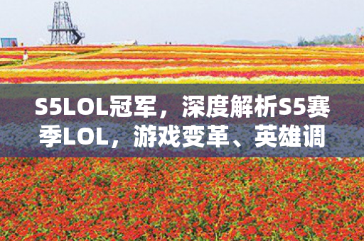 S5LOL冠军，深度解析S5赛季LOL，游戏变革、英雄调整与战术演变