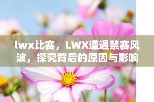 lwx比赛，LWX遭遇禁赛风波，探究背后的原因与影响
