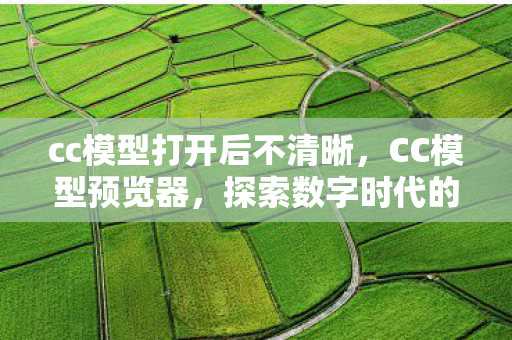 cc模型打开后不清晰，CC模型预览器，探索数字时代的全新视觉体验