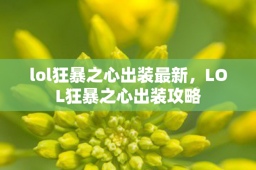 lol狂暴之心出装最新，LOL狂暴之心出装攻略