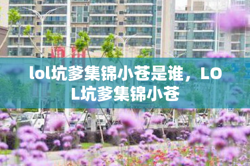 lol坑爹集锦小苍是谁，LOL坑爹集锦小苍