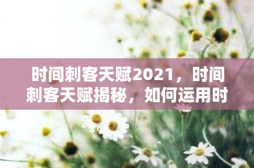 时间刺客天赋2021，时间刺客天赋揭秘，如何运用时间管理成为真正的效率高手