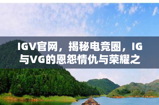 IGV官网，揭秘电竞圈，IG与VG的恩怨情仇与荣耀之战