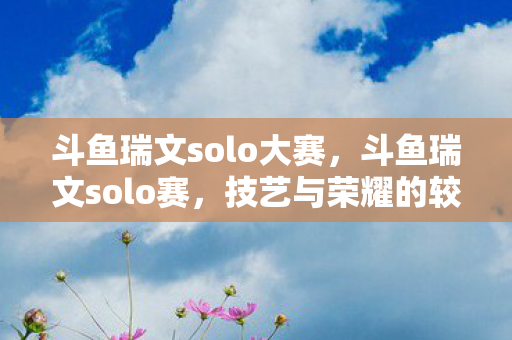 斗鱼瑞文solo大赛，斗鱼瑞文solo赛，技艺与荣耀的较量