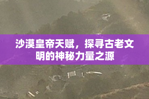 沙漠皇帝天赋，探寻古老文明的神秘力量之源