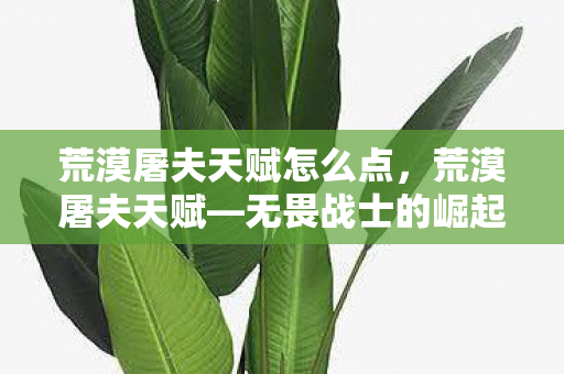 荒漠屠夫天赋怎么点，荒漠屠夫天赋—无畏战士的崛起之路