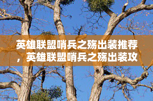 英雄联盟哨兵之殇出装推荐，英雄联盟哨兵之殇出装攻略