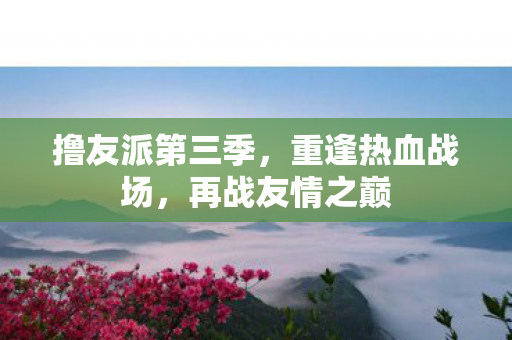 撸友派第三季，重逢热血战场，再战友情之巅