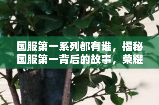 国服第一系列都有谁，揭秘国服第一背后的故事，荣耀之路与无尽挑战
