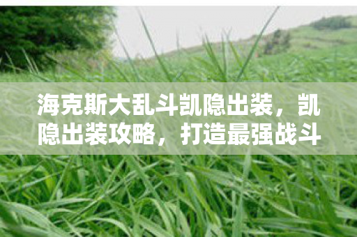 海克斯大乱斗凯隐出装，凯隐出装攻略，打造最强战斗装备