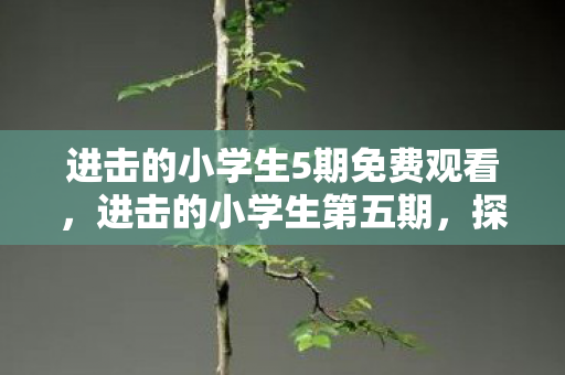 进击的小学生5期免费观看，进击的小学生第五期，探索小学生背后的无限潜力与成长之路