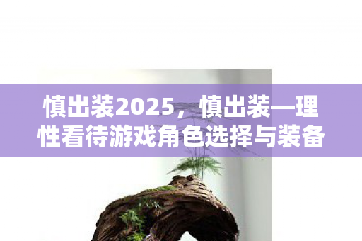慎出装2025，慎出装—理性看待游戏角色选择与装备搭配的艺术
