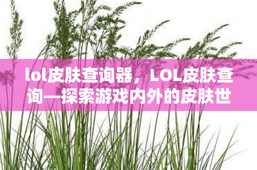 lol皮肤查询器，LOL皮肤查询—探索游戏内外的皮肤世界