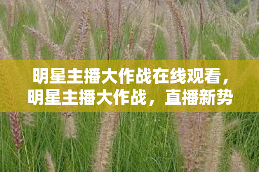 明星主播大作战在线观看，明星主播大作战，直播新势力的崛起与挑战