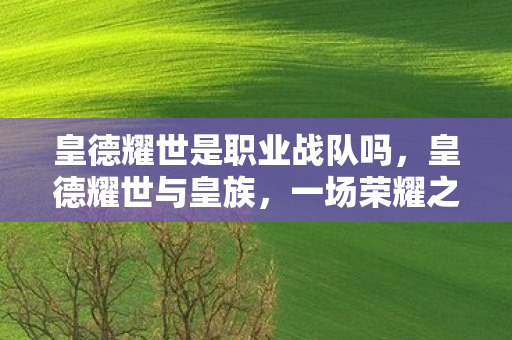 皇德耀世是职业战队吗，皇德耀世与皇族，一场荣耀之争的背后