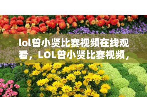 lol曾小贤比赛视频在线观看，LOL曾小贤比赛视频，一场电竞盛宴的见证