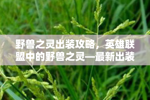 野兽之灵出装攻略，英雄联盟中的野兽之灵—最新出装攻略